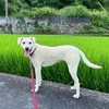 山口県バイク大好きクラブ