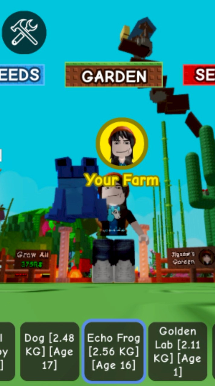 สตอเบอรี่ROBLOX