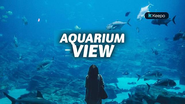 Wisata Aquarium Terbaik Di Dunia Yang Indah Tiada Tara