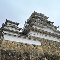 四姊妹小舖  日韓代購