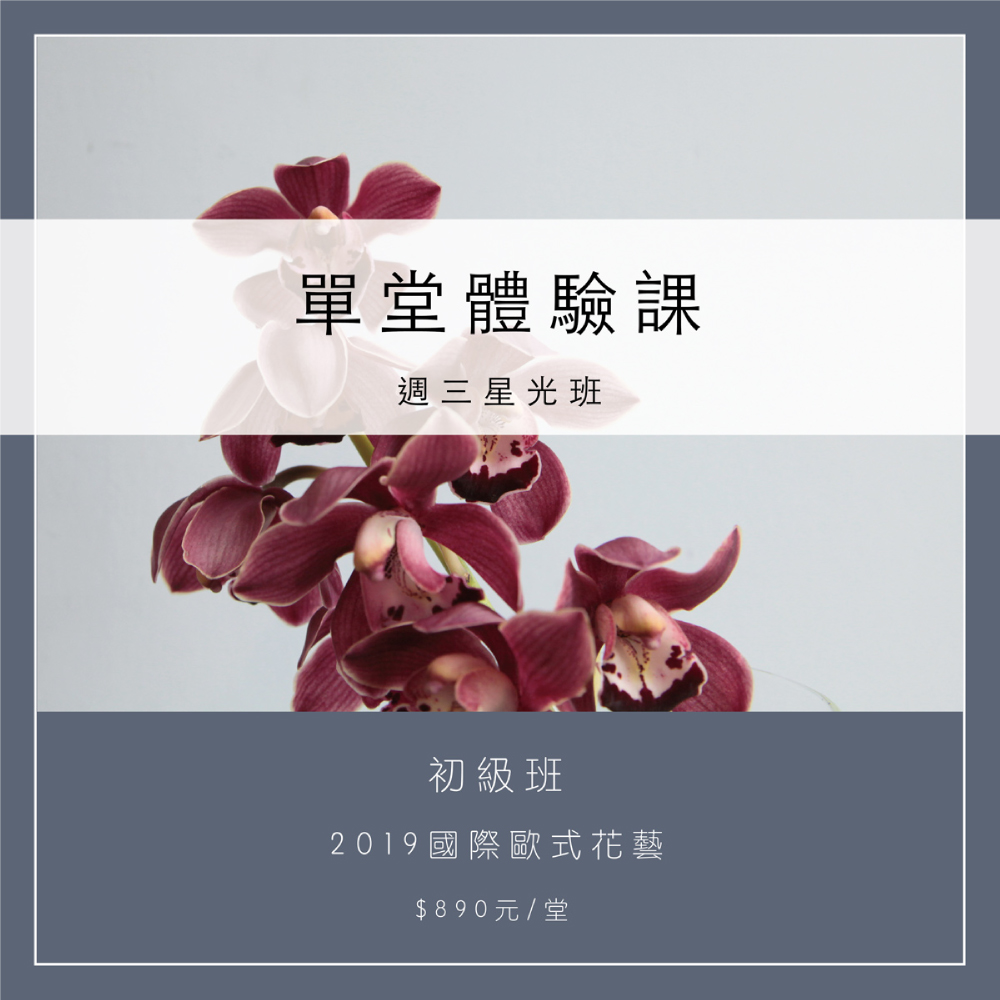 國際荷蘭花藝證照班｜單堂體驗課｜890元(含花材費)｜初級班｜每週三晚間