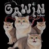 Gawin ‘s family
