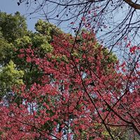 陽光下漫步