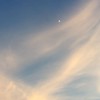 脇見恐怖症 新潟県