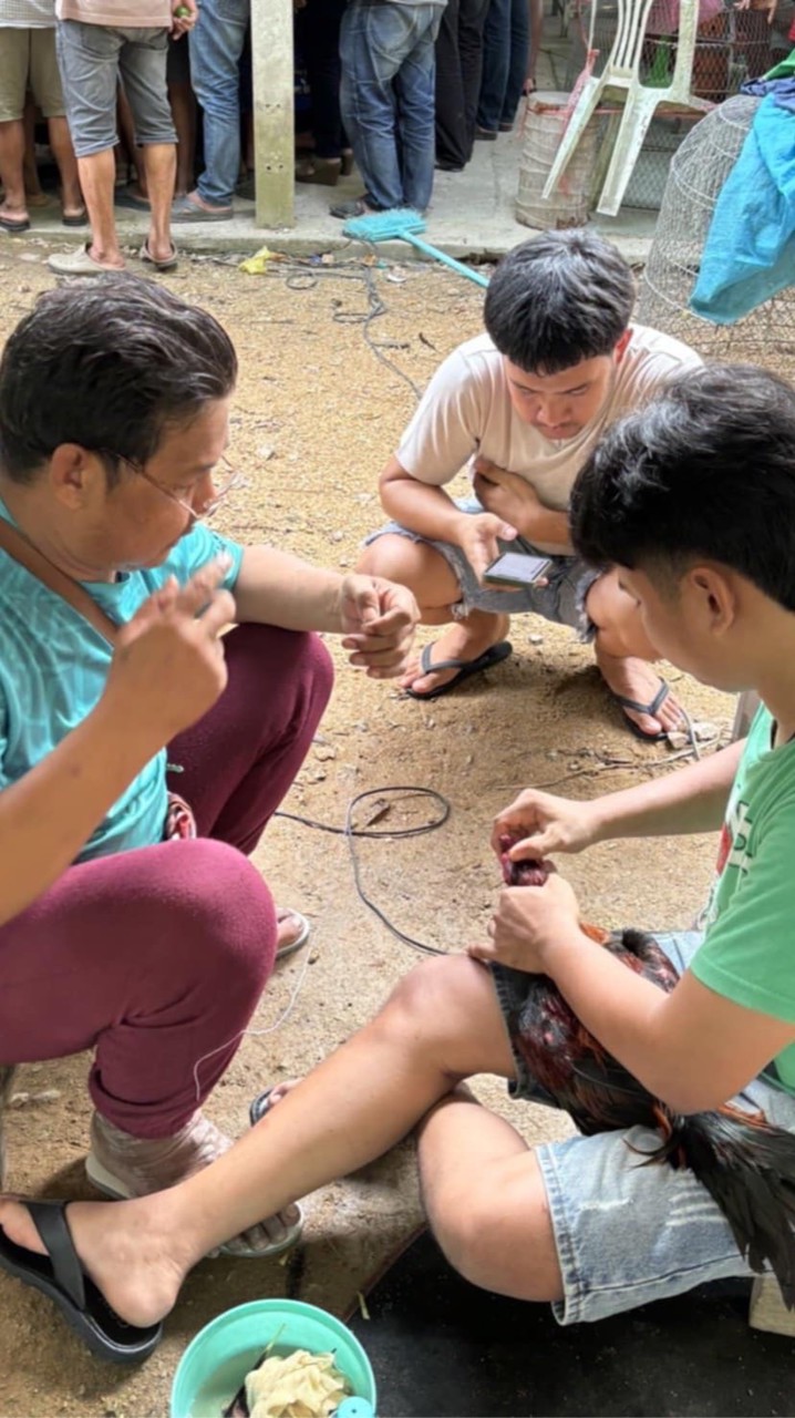 SupperGolf Farm Songkhla