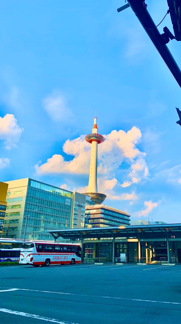 R兔國際代購12/8起日本代購