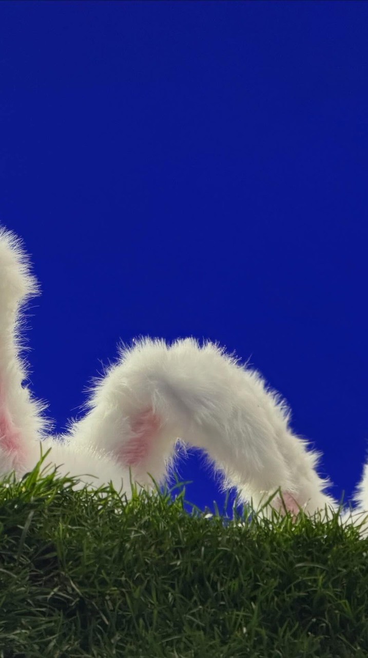 1142學期第三宿舍九樓樓群 | 1142 sems Dorm 3A 9F Group