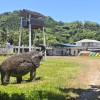 Hualien Multicultural Community