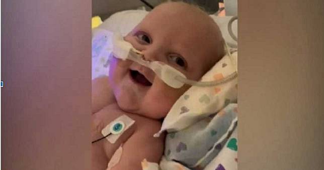 2次心臟手術歷劫歸來　半歲嬰兒露出微笑惹母大哭