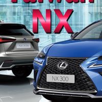 Taiwan NX 總群