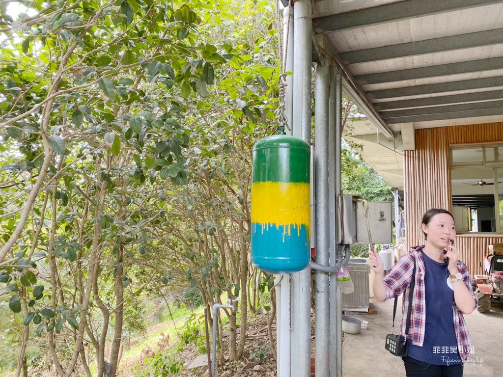 新竹寶山 新城風糖 黑糖飄香遊新城 爆漿黑糖饅頭DIY 甘蔗職人體驗