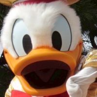 🏰東京ディズニーランド好き交流広場