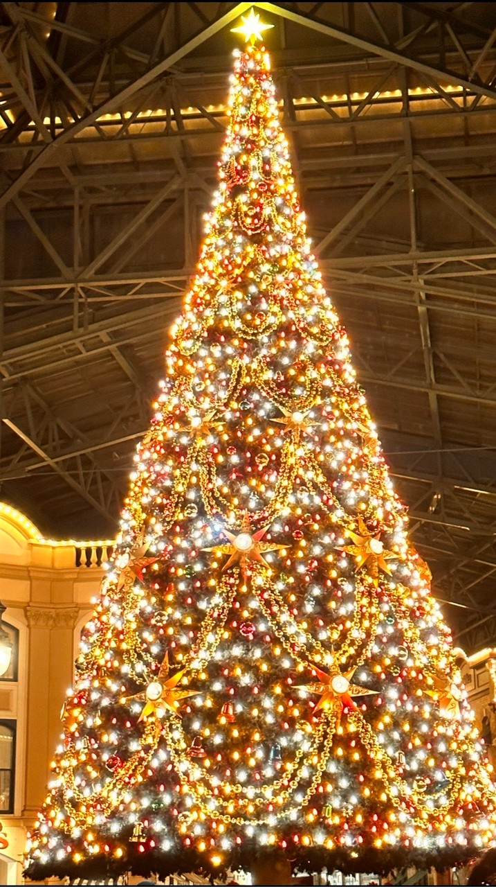 🏰東京ディズニーランド情報館