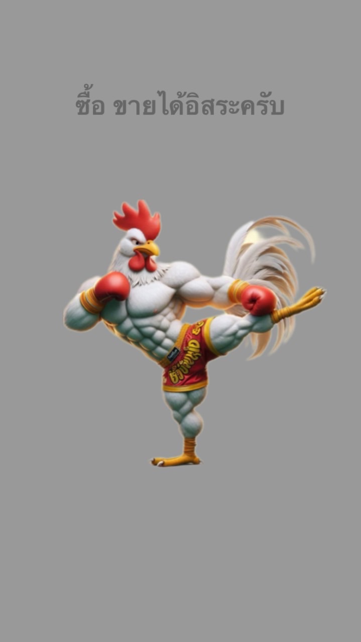 ซื้อ-ขายไก่ชนราชบุรีและพื้นที่ใกล้เคียง