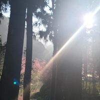 一直在旅行