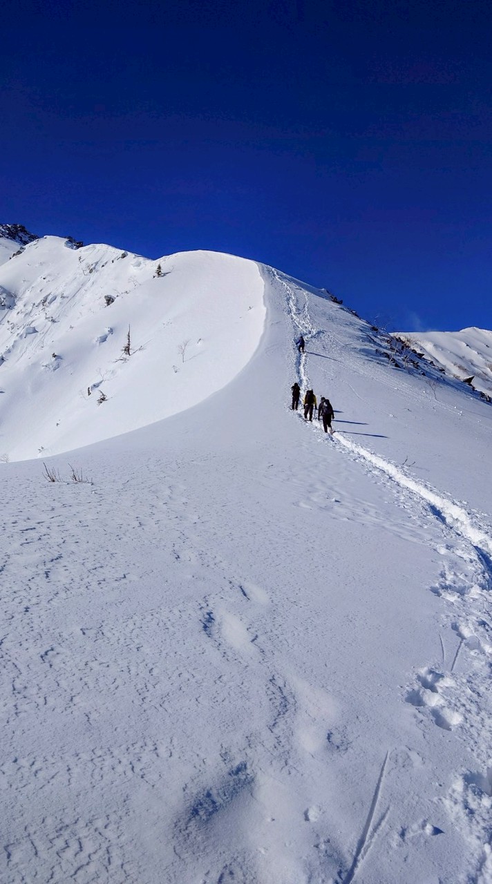 上信越（群馬・長野・新潟）登山部🌸⛰️🍁🏔️🍀