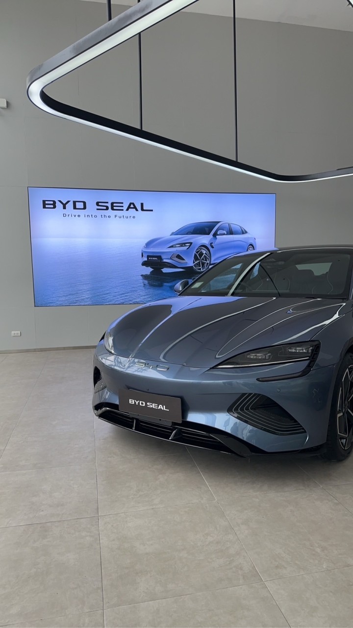 BYD&Pegas