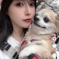 アヒルじゃないよまひるんだよ