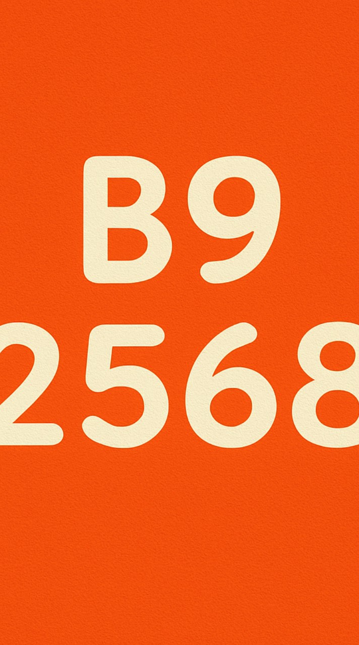 B9-MUGE100-2568