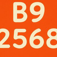 B9-MUGE100-2568