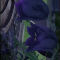 リゼロ 微緩也