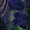 リゼロ 微緩也