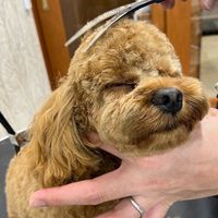 えでんふぁみりー🩵発言禁止