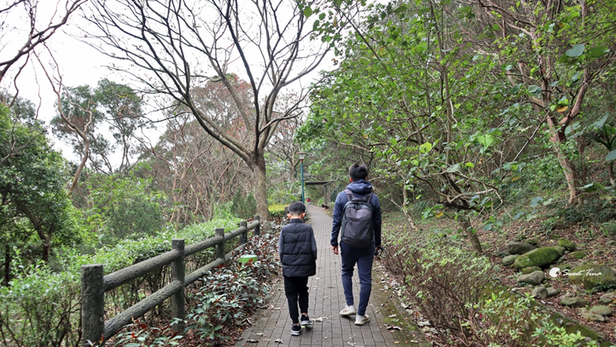 新北人放空首選！五股區６處私房景點：農場內「瀑布祕境」、森林磨石子滑梯