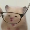 雑談歌オプ☁︎ 𓂃𓈒𓏸