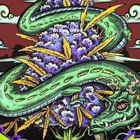 Drago grower สนทนาภาษาชาวปลูก