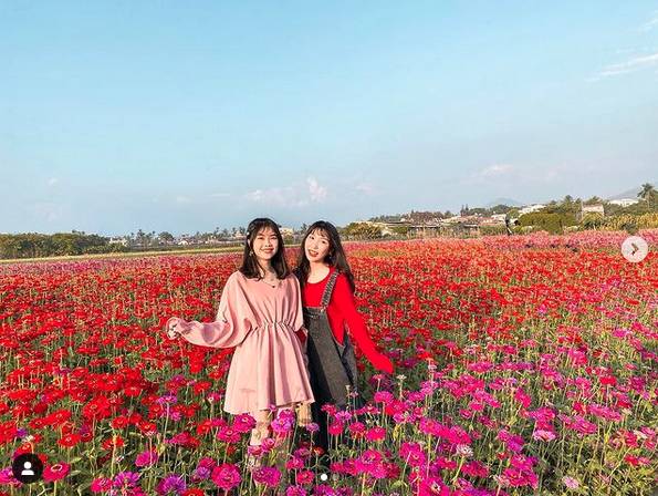 圖片來源：IG @grace_tainan