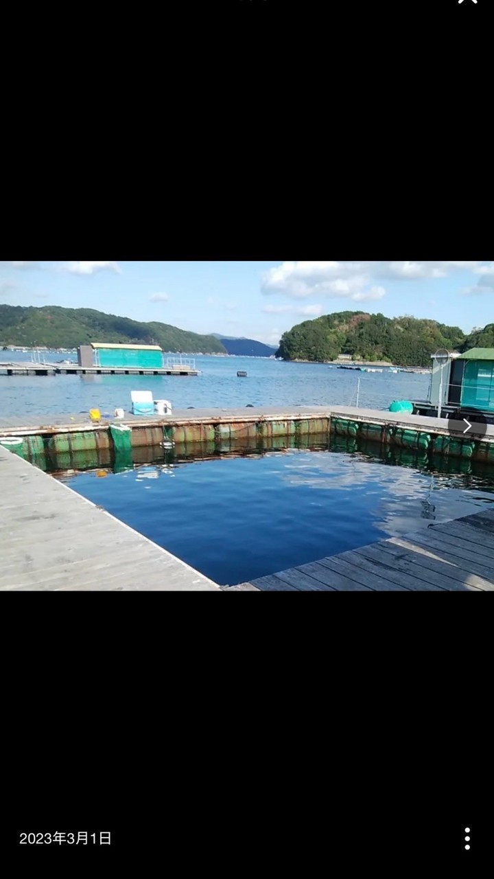碧南ゆかいな仲間たち釣り大会