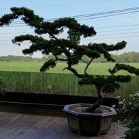 別苑合作社