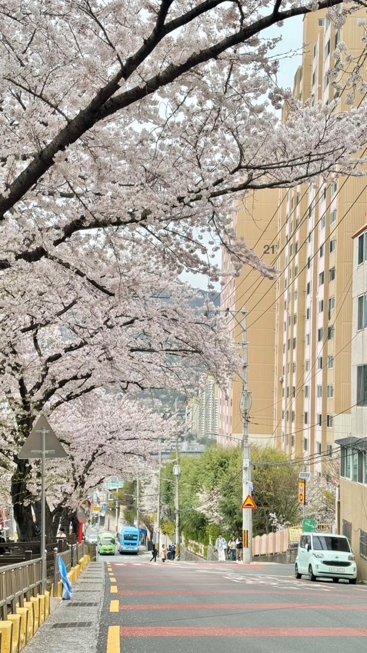 Dot with beauty Helpbuy