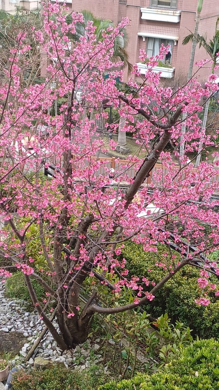 TCP股市賺便當