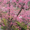 TCP股市賺便當