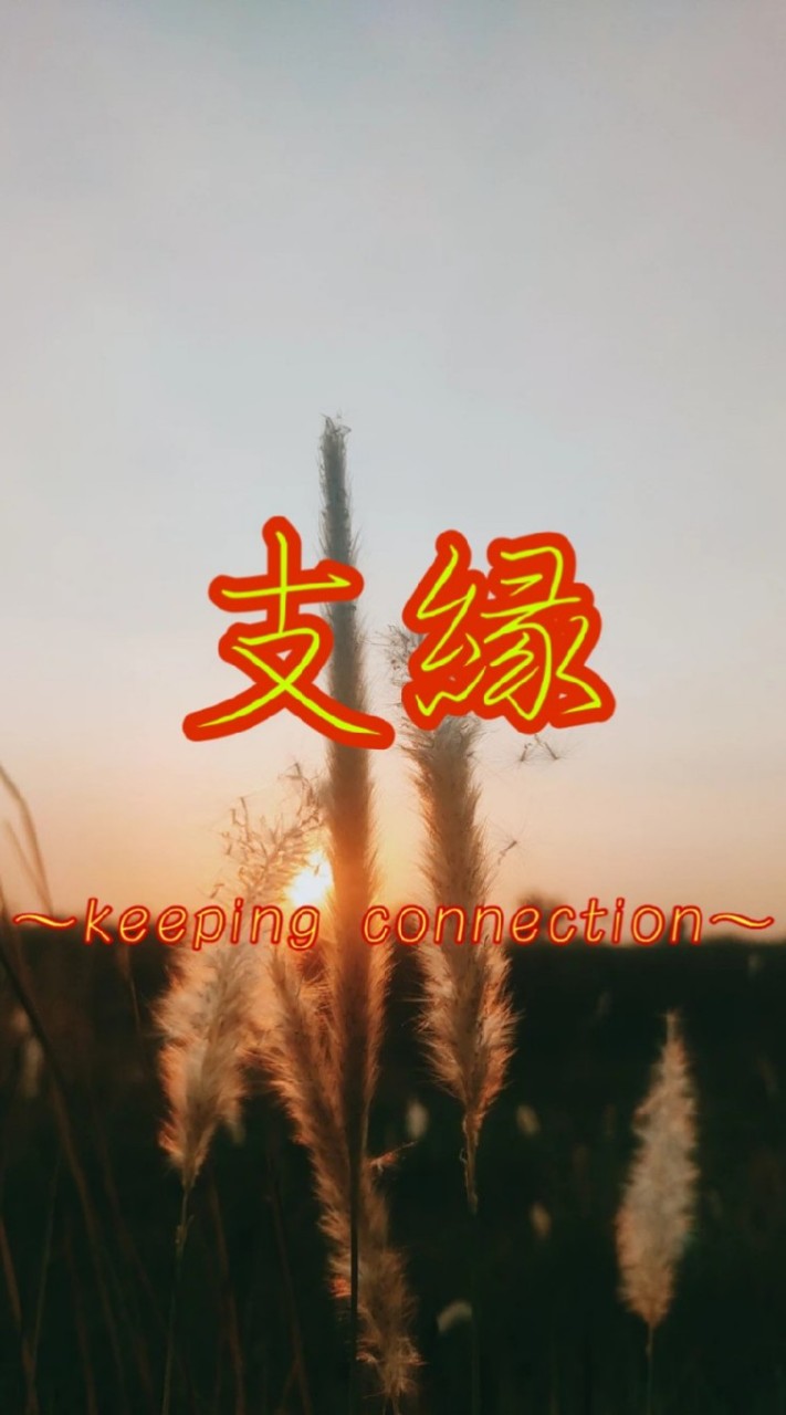 支縁 ～SHIEN～