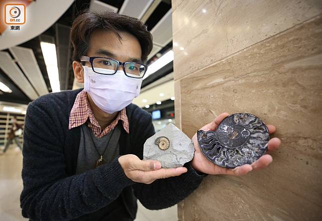 港鐵沙田站驚現億年化石古生物專家 化石就在身邊 On Cc 東網 Line Today