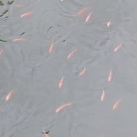 รวมพลคนออฟโรด