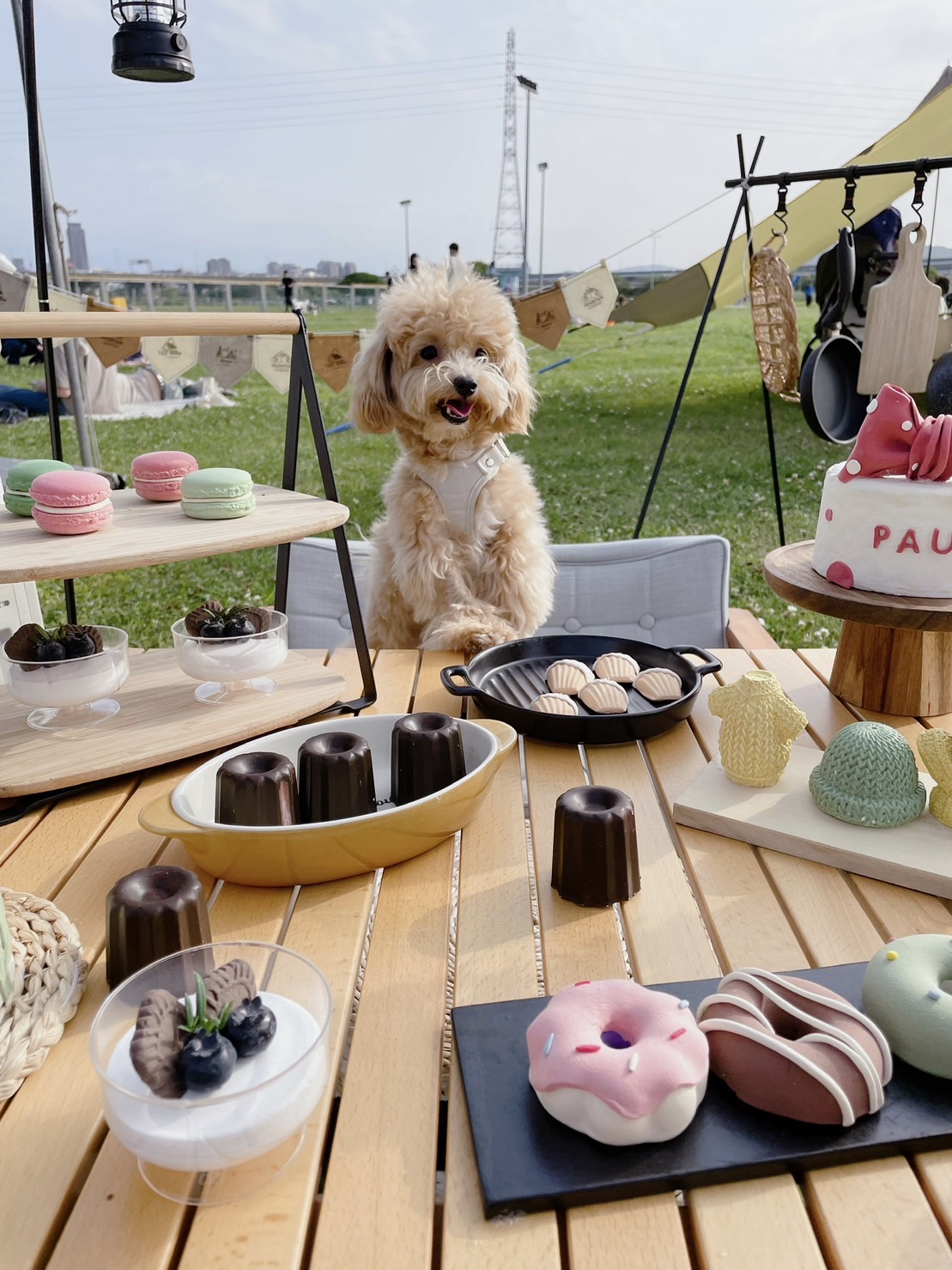 蘆堤寵物公園（圖片提供/廢物姊姊）
