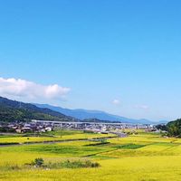 かみみやづ