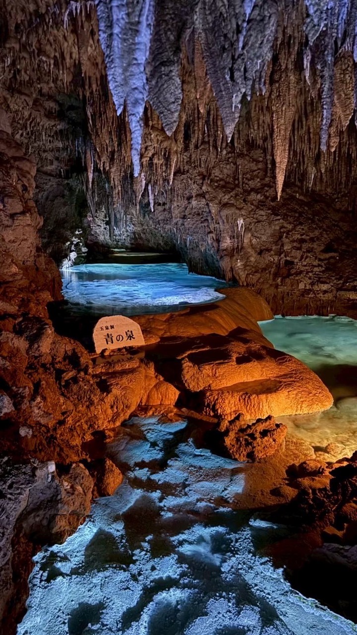 及早養才 適性揚才