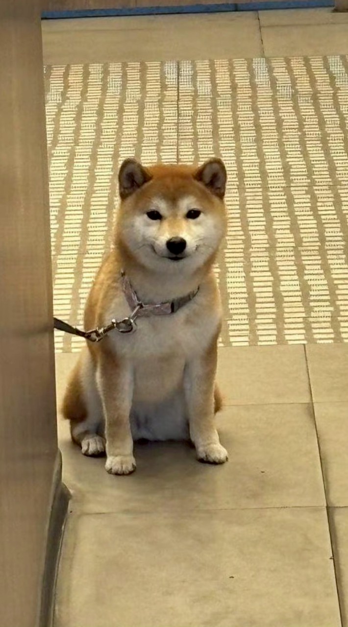 𝐏𝐢𝐜𝐭𝐮𝐫𝐞 𝐁𝐲𓈒𝐉𝐚𝐉𝐚𝐚 𝐀𝐧𝐝 𝐠𝐚𝐧𝐠
