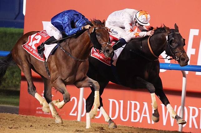 ♙ Hk jockey club pool