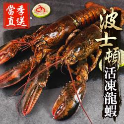 ◎新鮮活凍產地直送的加拿大波士頓龍蝦。|◎龍蝦極品、鮮甜多汁、|◎肉質緊實、美味極佳！乃海中之王。品牌:海鮮王類型:蝦蟹貝類組合說明:海鮮王獨家進口當季活凍波士頓大龍蝦3隻組500g±10%/隻-產地