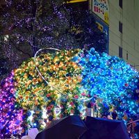ものずきんの限界ポイ活