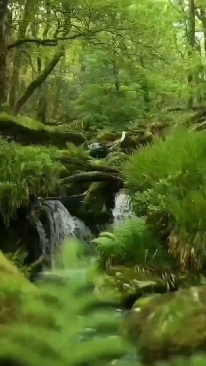 🌏奇跡の水素🌏