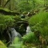 🌏奇跡の水素🌏