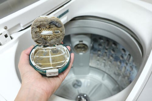 洗濯機が脱水できない＆止まった時の原因と対策方法。（オリーブオイル 
