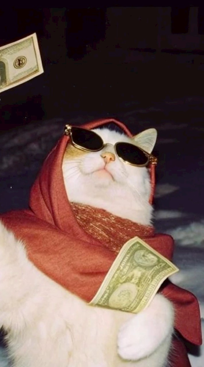 🎮 fps・雑談 💬